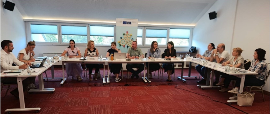 Network Schools - a platform for international cooperation in the field of professional development in state and other authorities