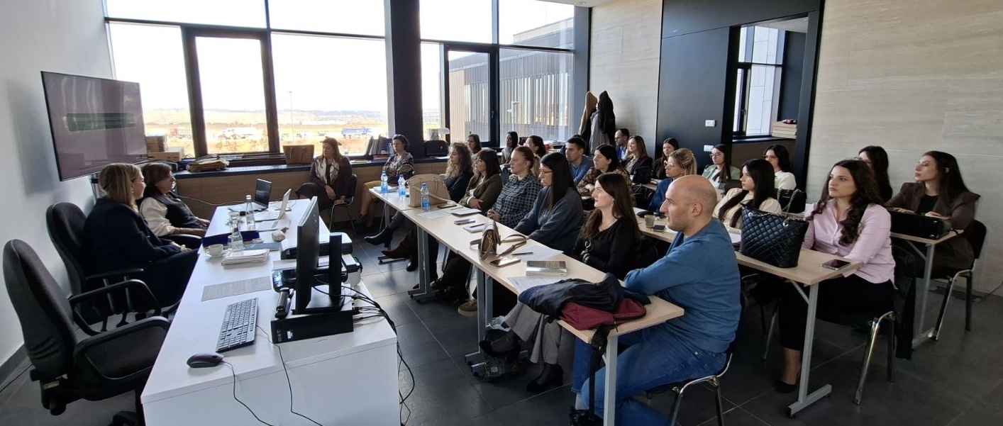 Application of the Law on Civil Procedure - making a decision