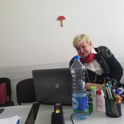 Zum sastanak na temu prezentacije priručnika ”Primena alternativnih sankcija u pravnom sistemu Republike Srbije“-4