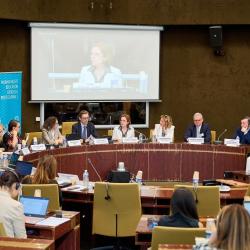 Annual conference of the HELP program of the Council of Europe 2023-4