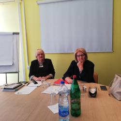 Improving children's rights in civil court proceedings through strengthening the capacity of judges and experts for social protection