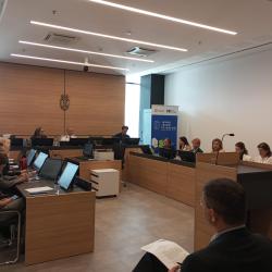 Project for good administration - Administrative dispute related to public procurement 4