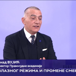 Nenad Vujić, guest of RTS - "Violence suffered by a woman is not her private matter - protect the victim at least with an anonymous report" - picture 1