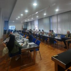 Novi Sad, obuka "Maloletnici kao učinioci krivičnih dela i maloletna lica oštećena krivičnim delom" - 1