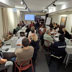 Safety is not a choice: risk assessment and role institution in preventing violence 2