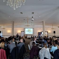 Безбедност није избор: Процена ризика и улога институција у спречавању насиља - Панчево, слика 1 Безбедност није избор: Процена ризика и улога институција у спречавању насиља - Панчево, слика 1