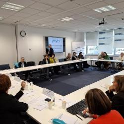 Promotion Guidelines for determining non-material damages in cases of discrimination - picture 4