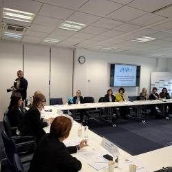 Promotion Guidelines for determining non-material damage in cases of discrimination - picture 6